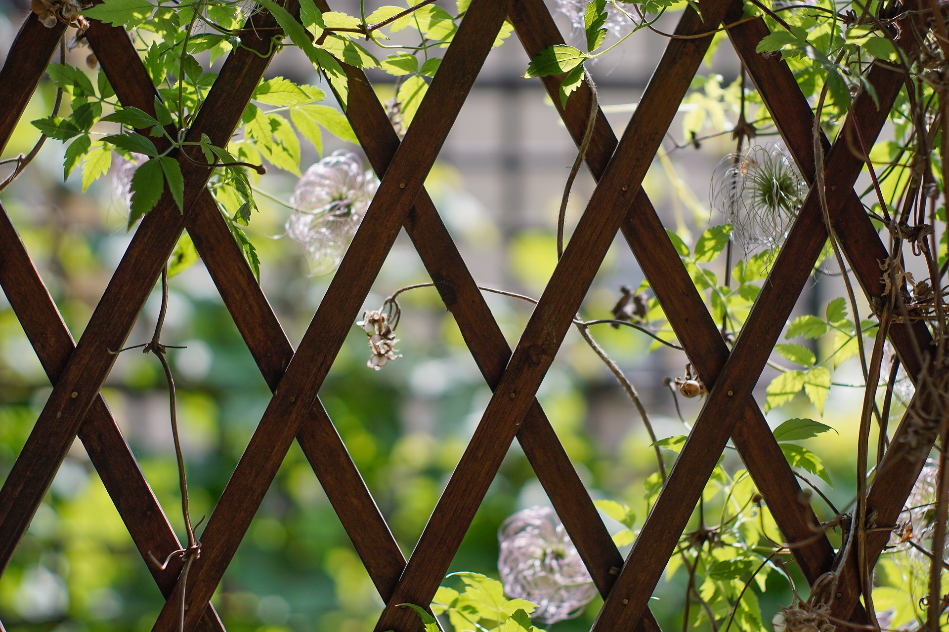adj-amenagement-exterieur-pergolas-jardiniere-habillez-vos-exterieurs